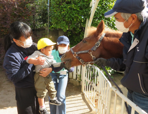 明石 保育園 引き馬
