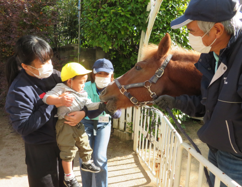 明石　保育園　引き馬