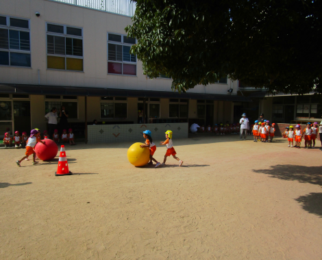 明石　保育園　玉転がし