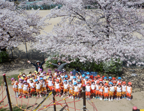 明石 保育園 公園
