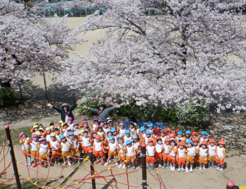 明石　保育園　公園