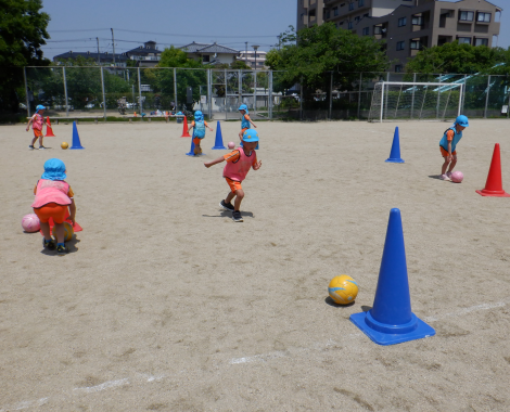 明石　こども園　ぞう