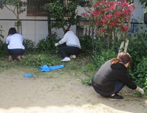 明石 保育園 草抜き