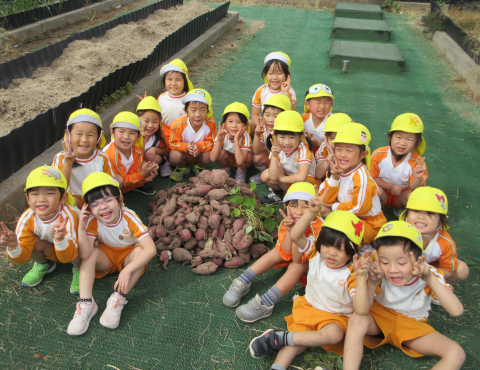 明石 保育園 4歳児