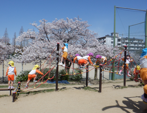 明石 保育園 公園2