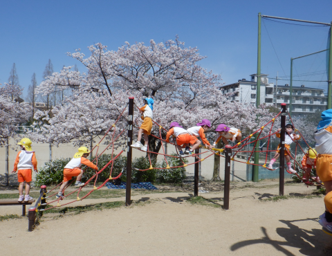 明石　保育園　公園２