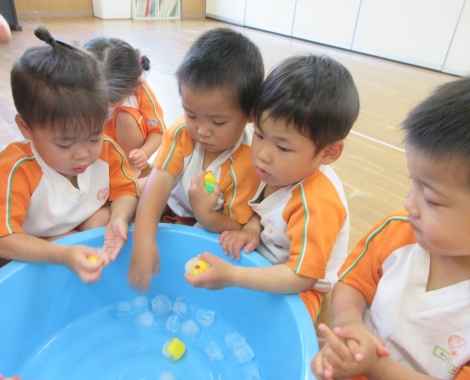 明石 保育園 氷