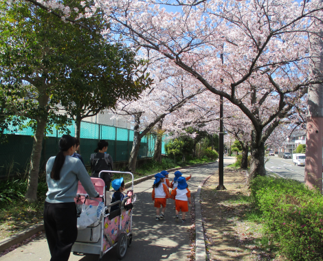 明石　保育園　散歩
