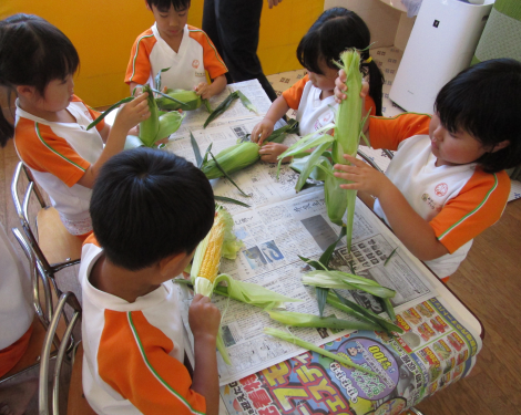 西明石 保育園 5歳く