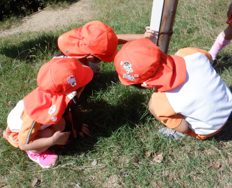 明石 保育園 4歳児