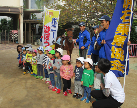 明石 保育園 引き馬体験3