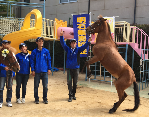 明石 保育園 引き馬体験1