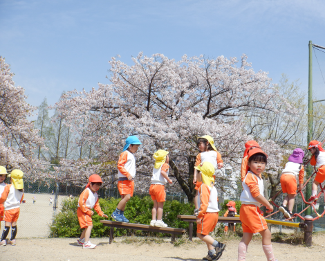 明石 保育園 アスレチック