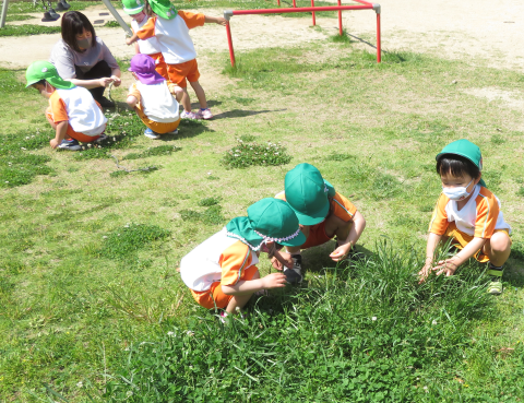 明石 保育園 公園1