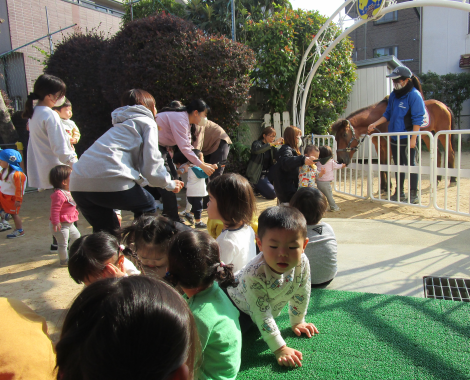 明石　保育園　動物ふれあい