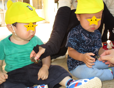 明石 保育園 1歳児1