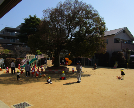 明石　保育園　園庭
