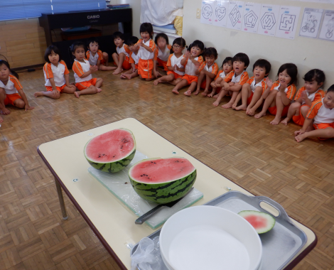 明石 保育園 すいか