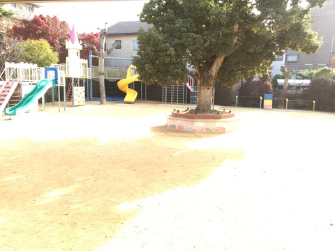 明石 保育園 園庭
