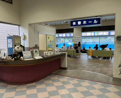 明石　保育園　遠足3