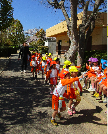 明石　保育園　桜2