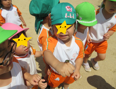 明石 保育園 公園