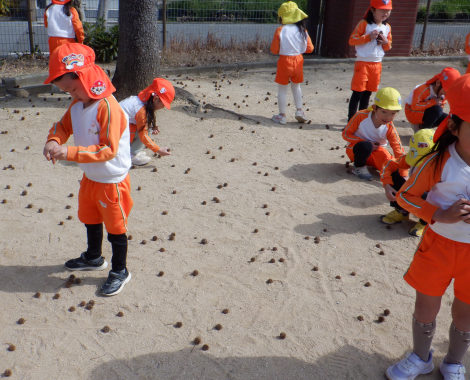 明石　保育園　ｋｋ