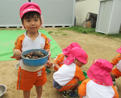 明石 保育園 秋