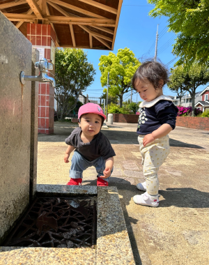 明石 保育園 こあら