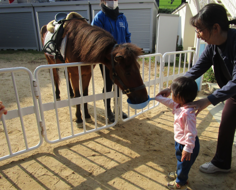 明石　保育園　餌やり