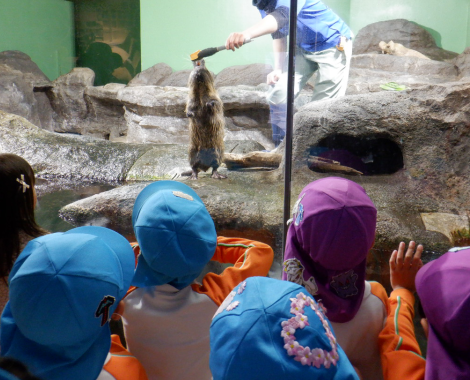 明石　保育園　水族館