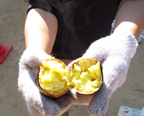 明石 保育園 焼き芋