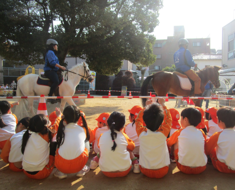 明石　保育園　馬