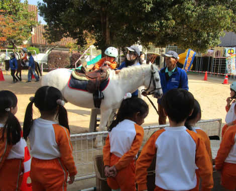明石　保育園　引き馬