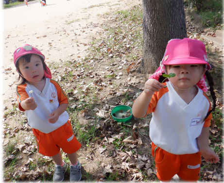 西明石愛児園2.3歳 小久保西公園2