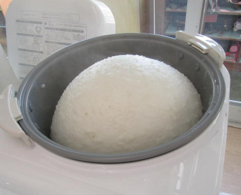 明石　保育園　もち