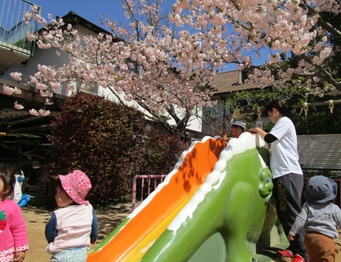 明石市 保育園 1歳児
