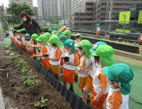 明石　保育園　３歳児