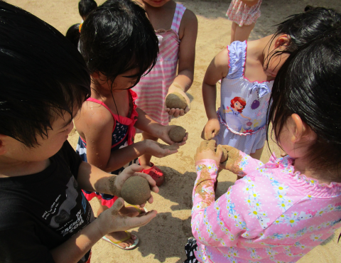 明石 保育園 どろだんご