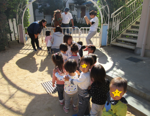 明石 保育園 馬