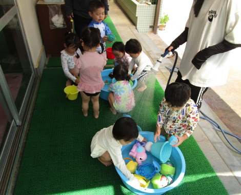 明石 保育園 うさぎ