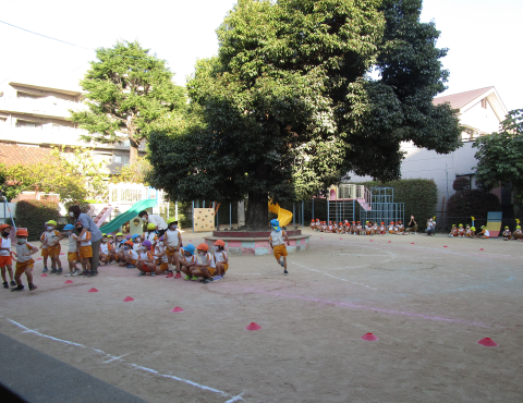 明石 保育園 園庭