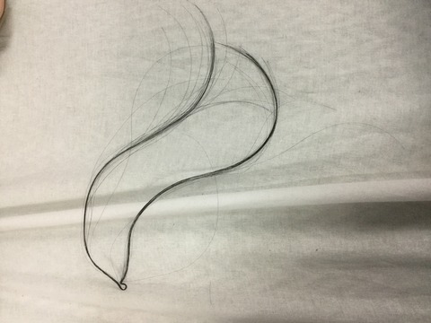 6002-3016350