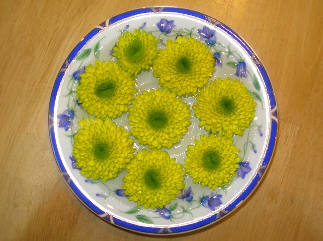 砂糖菓子 スプレーマム あかね珊瑚の 花 はな 日記 砂糖菓子 スプレーマム あかね珊瑚の 花 はな 日記