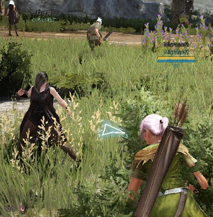 黒い砂漠1日目 Microsoft ですのっ Mmoなど