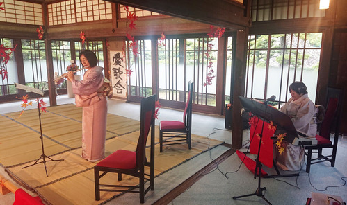 49688689225_9044650546440701141_n