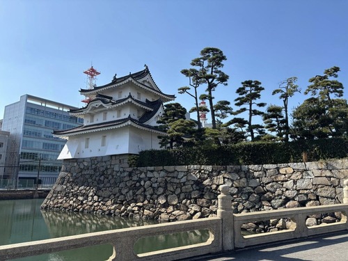 579058847_4522942411265943_8842659022831919780_n