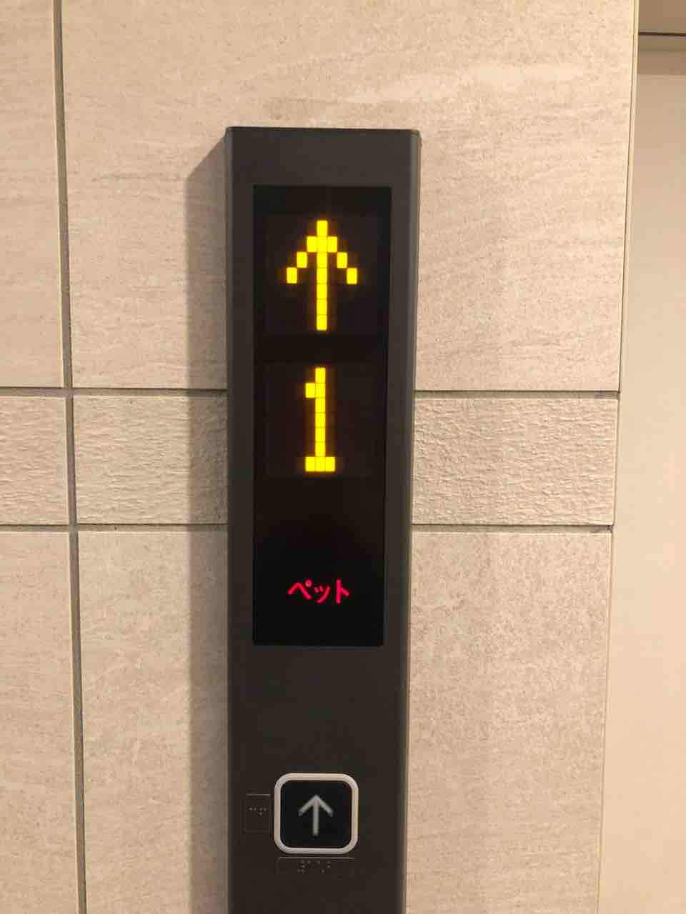 エレベーターのご紹介 ウエリス相川駅前 スタッフブログ