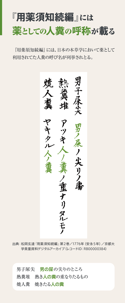 食糞民族とは何か【後半】25