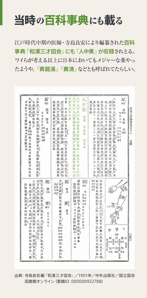 食糞民族とは何か【後半】21